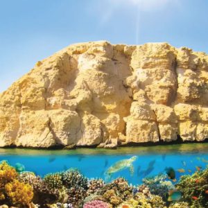 راس محمد بري يوم كامل